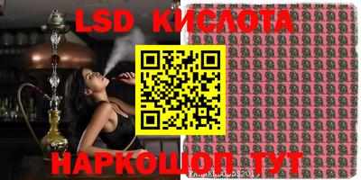спиды Краснознаменск