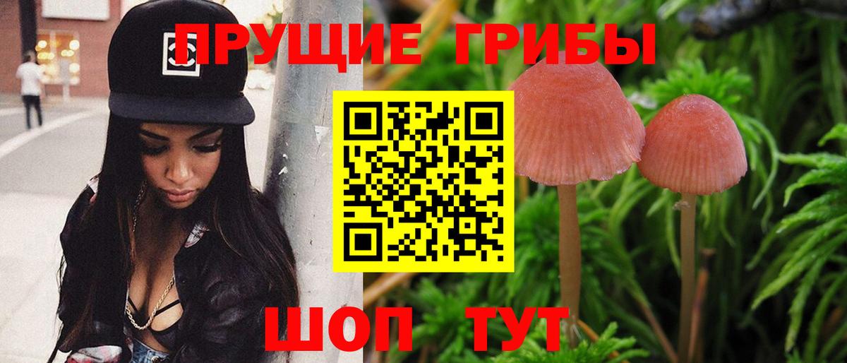 Заволжье  Галлюциногенные грибы Psilocybe  Псилоцибиновые грибы мухоморы  Вход с VPN 