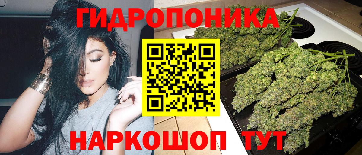 Каннабис White Widow  МАРИХУАНА ГИДРОПОН  Вход с VPN  Заволжье  Конопля планчик  Конопля THC 21% 